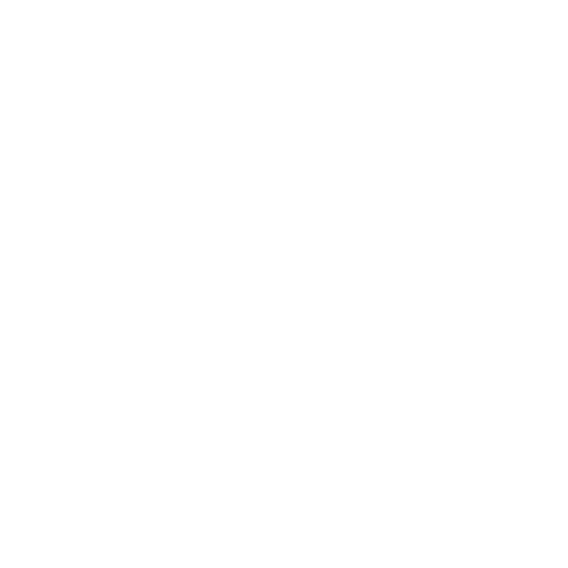 Agent de securitate
